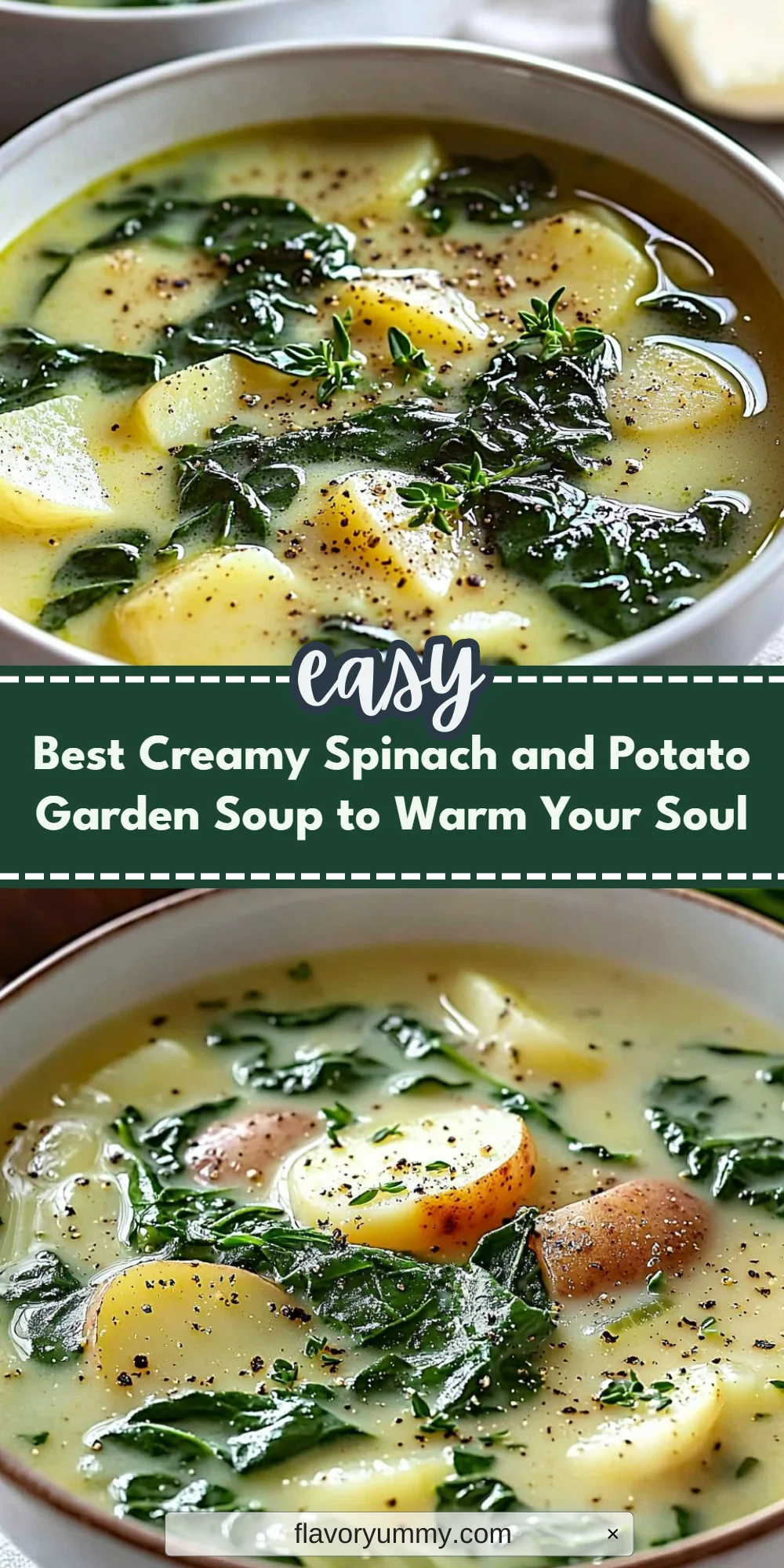 Best Creamy Spinach and Potato Garden Soup to Warm Your Soul