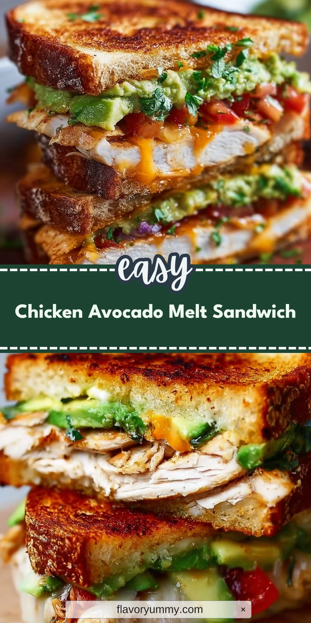 Chicken Avocado Melt Sandwich