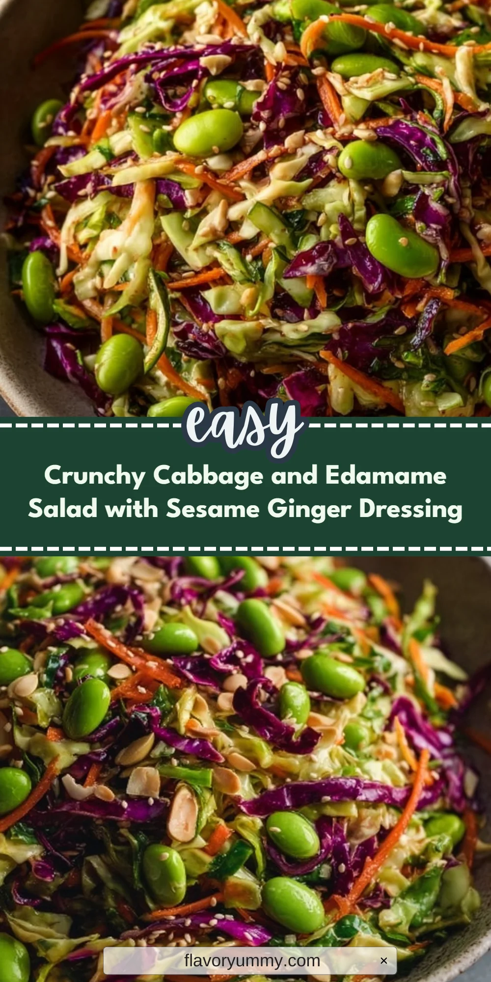 Crunchy Cabbage and Edamame Salad with Sesame Ginger Dressing