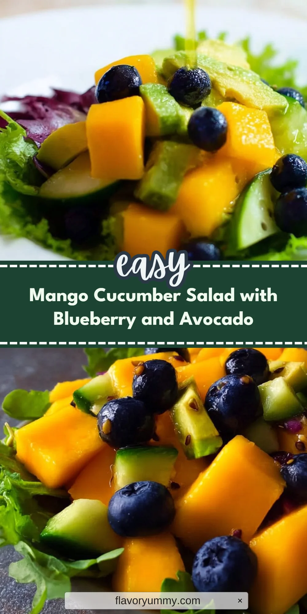 Mango Cucumber Salad with Blueberry and Avocado