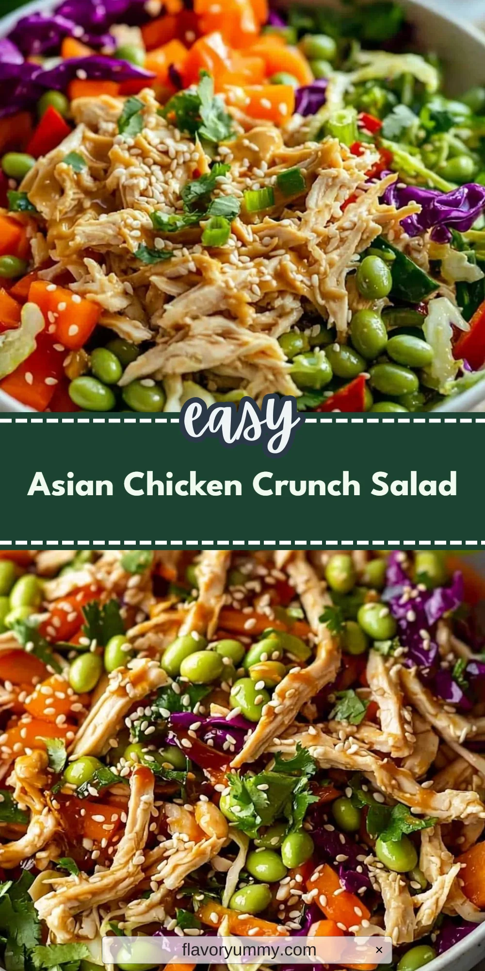 Asian Chicken Crunch Salad