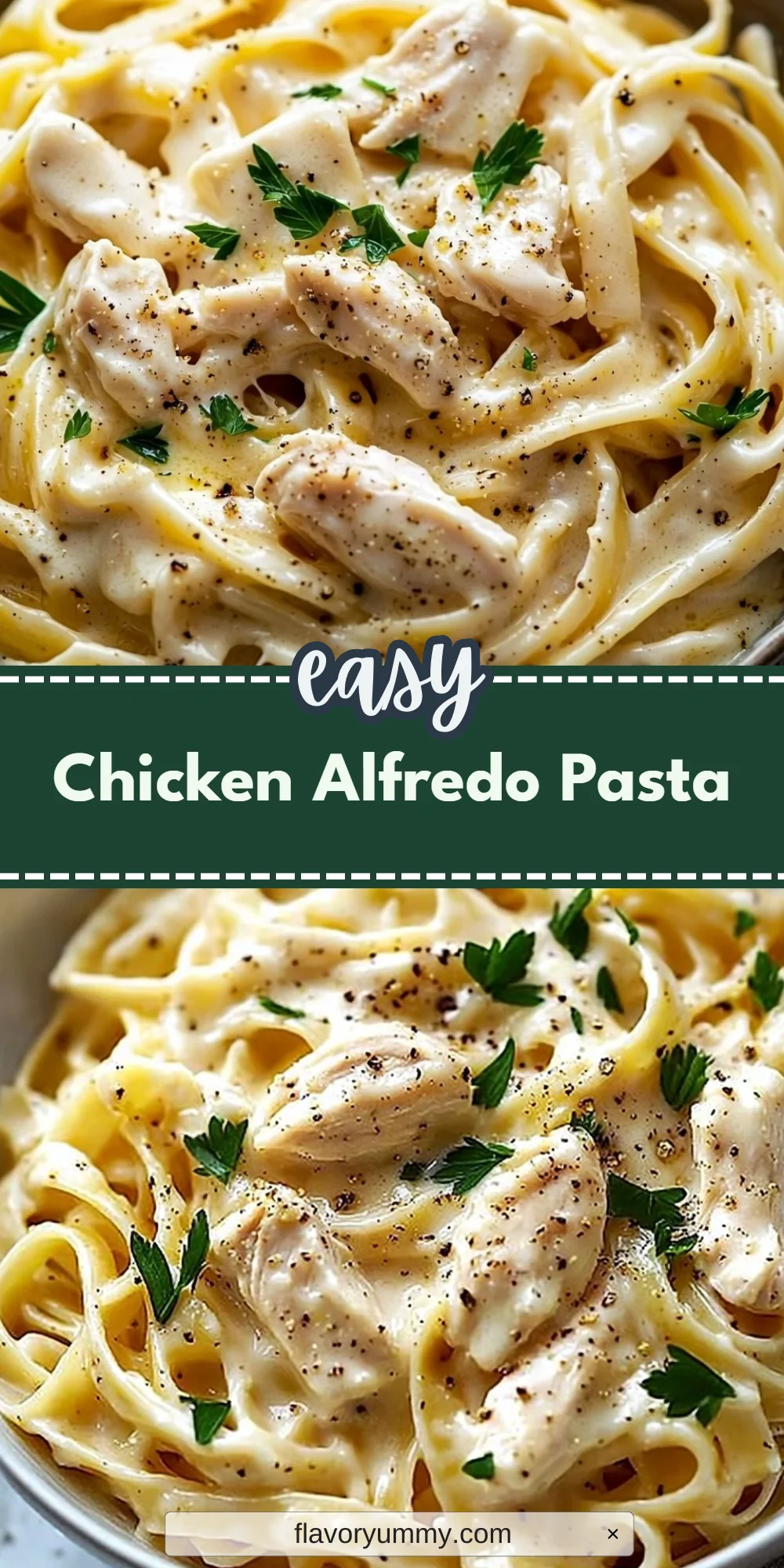 Chicken Alfredo Pasta
