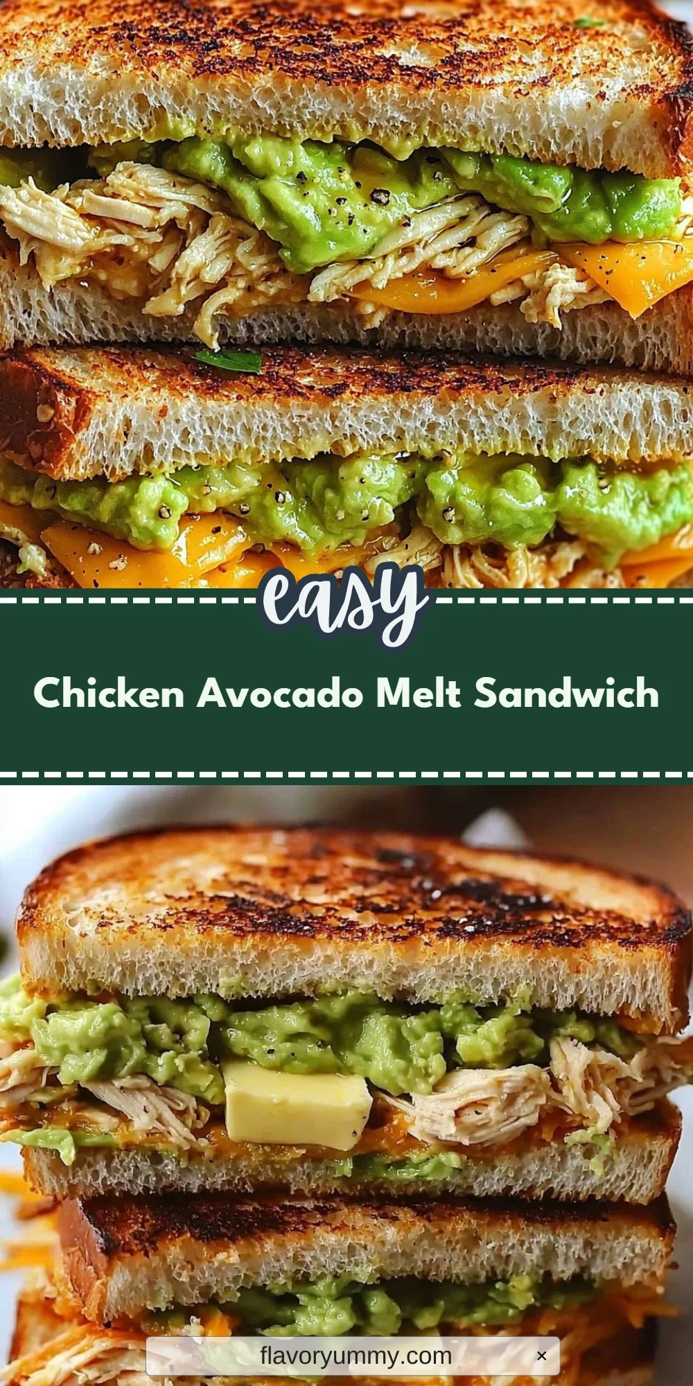 Chicken Avocado Melt Sandwich