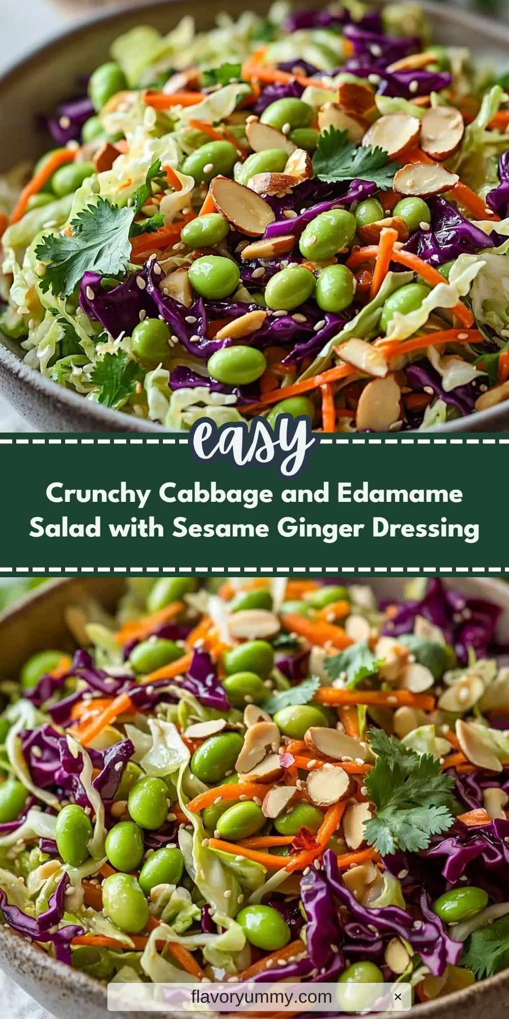 Crunchy Cabbage and Edamame Salad with Sesame Ginger Dressing