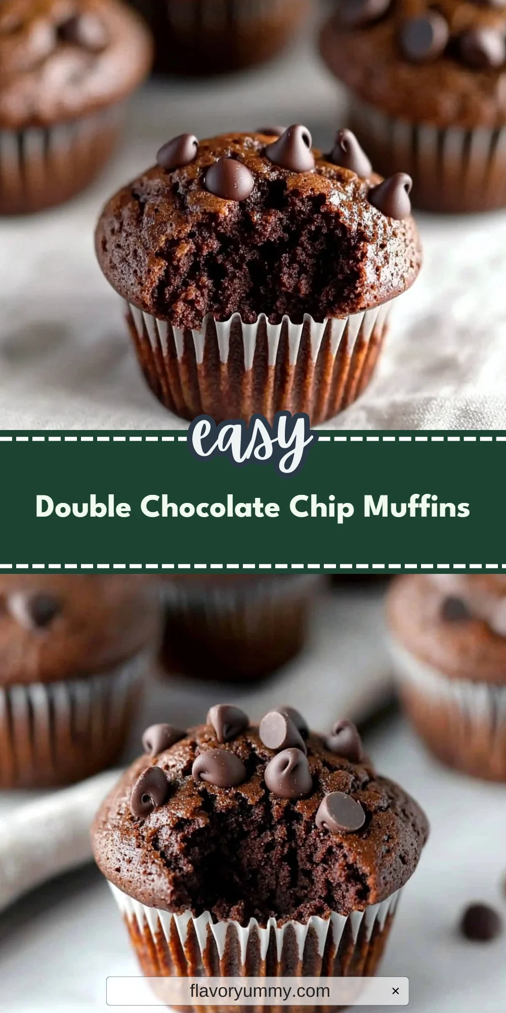 Double Chocolate Chip Muffins