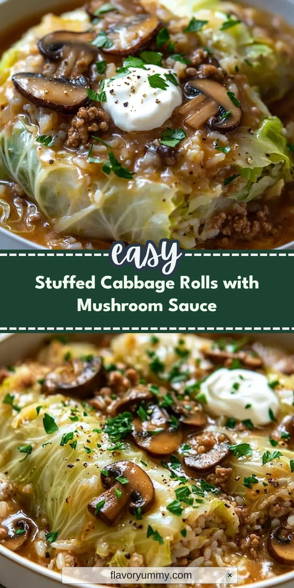 Stuffed Cabbage Rolls with Mushroom Sauce