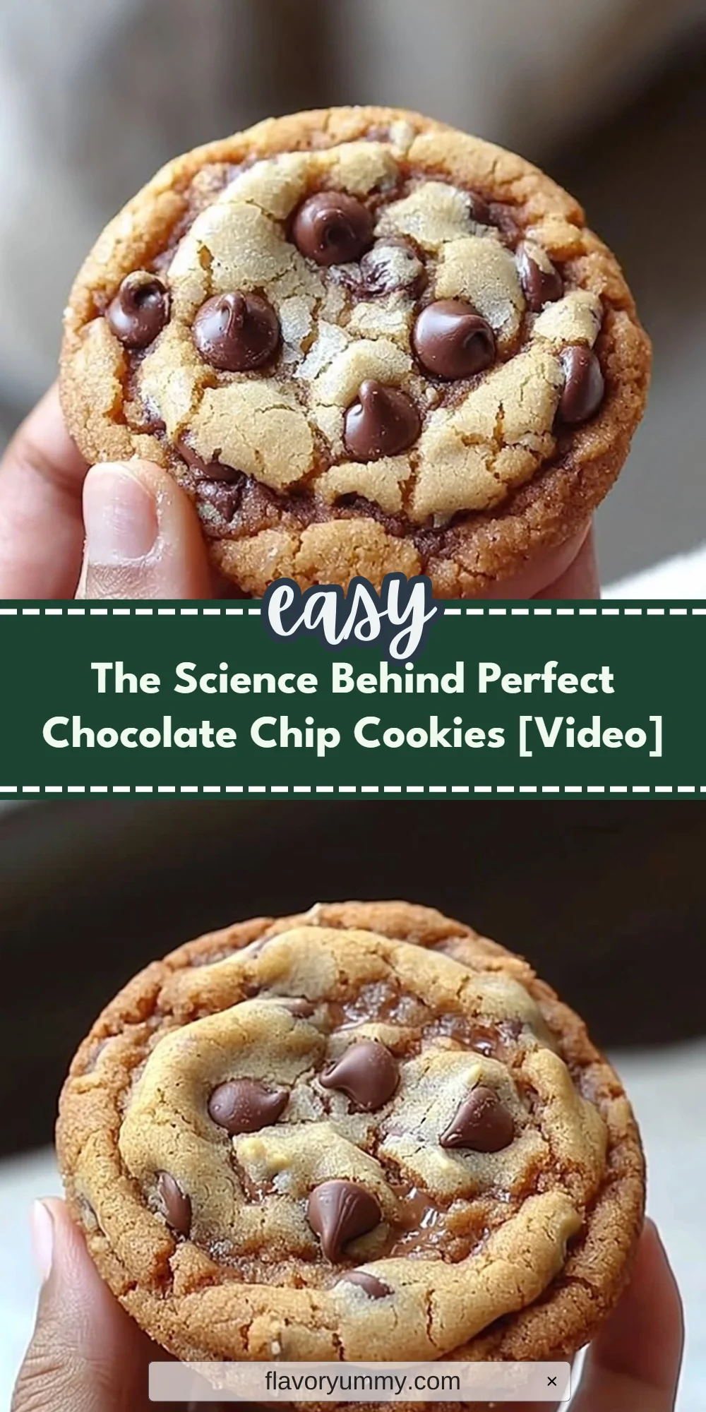 The Science Behind Perfect Chocolate Chip Cookies [Video]