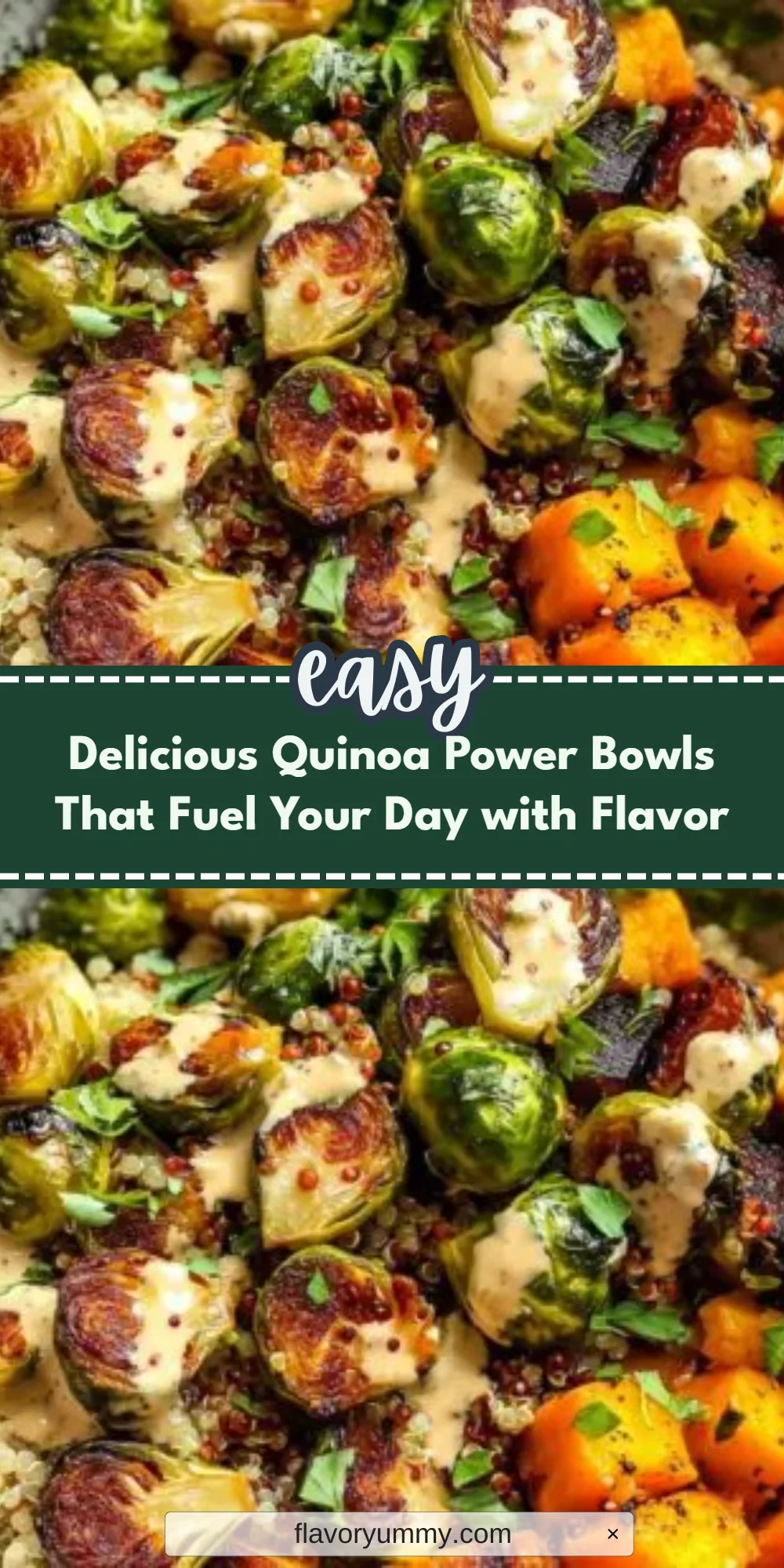 Delicious Quinoa Power Bowls That Fuel Your Day with Flavor