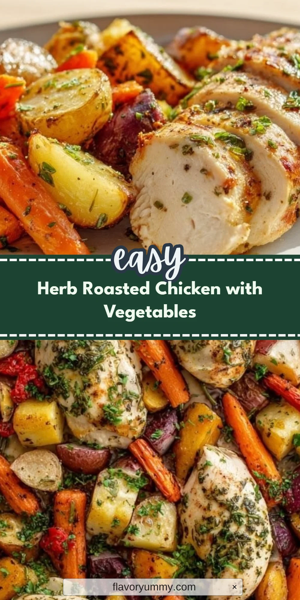 Herb Roasted Chicken with Vegetables