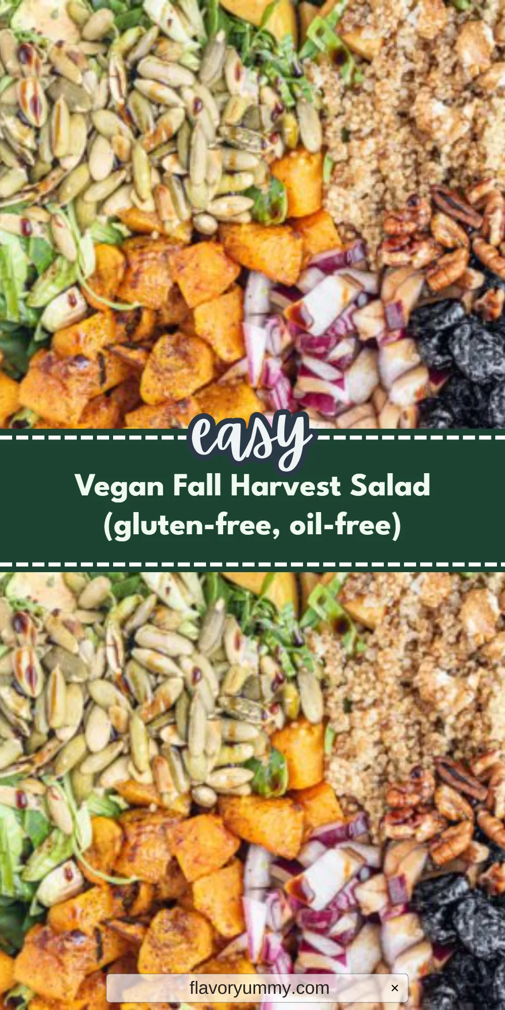Vegan Fall Harvest Salad (gluten-free, oil-free)