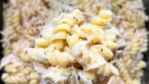 Crockpot Garlic Parmesan Chicken Pasta (Viral TikTok Recipe)