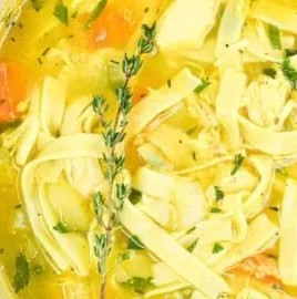 Bowl of Healing Chicken Noodle Soup with fresh vegetables and noodles