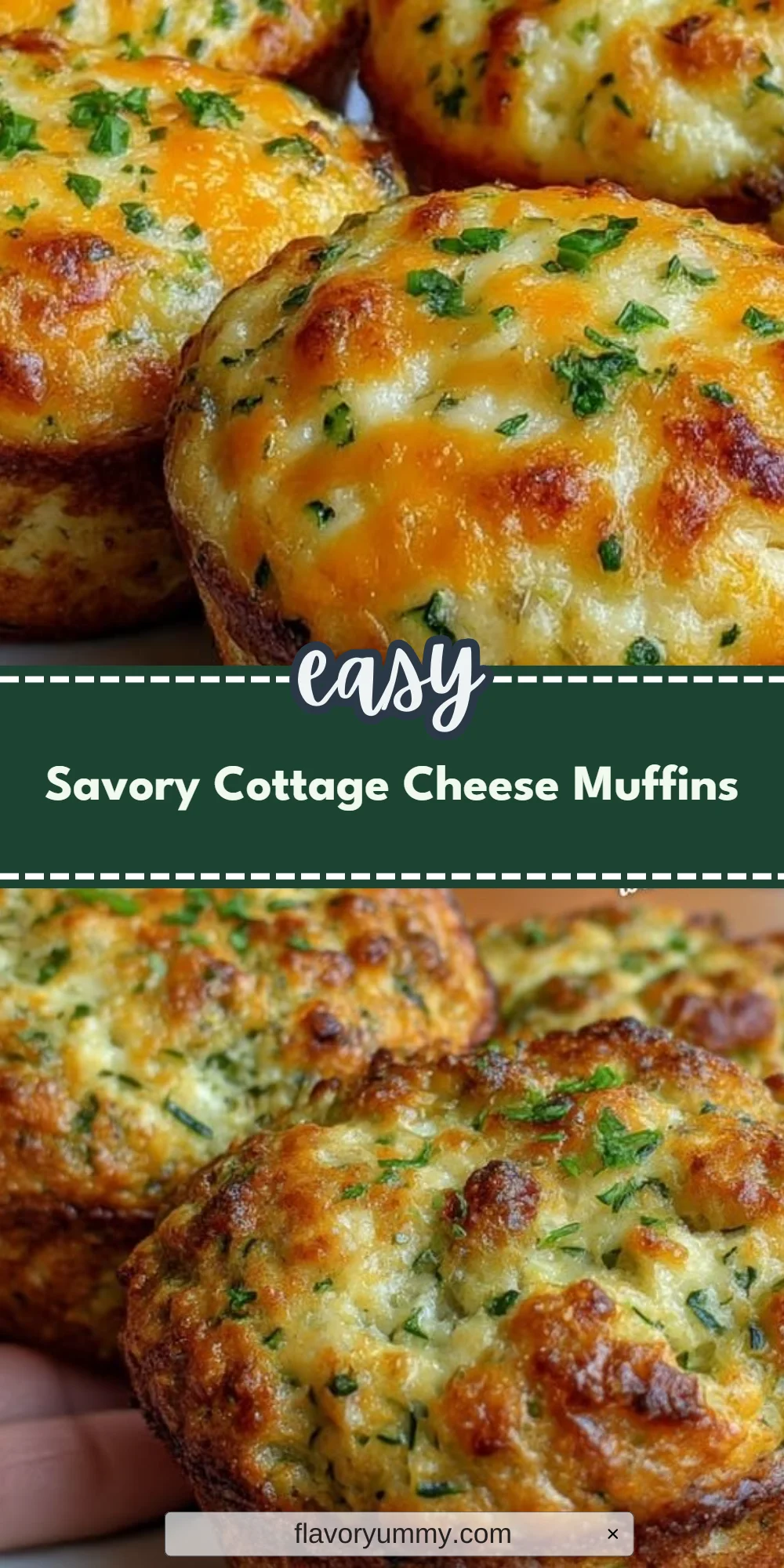 Savory Cottage Cheese Muffins